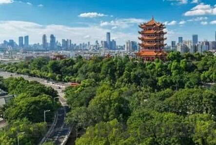 足球买球比分-理性看球，远离非法足球买球比分的陷阱